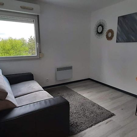 Studio Cosy Lyon Appartement Buitenkant foto